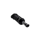 Suspension Strut and Coil Spring Assembly LS33-82012B