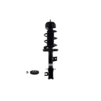 Suspension Strut and Coil Spring Assembly LS33-82031L