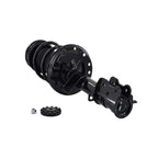 Suspension Strut and Coil Spring Assembly LS33-82031R