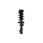 Suspension Strut and Coil Spring Assembly LS33-82101R
