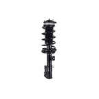 Suspension Strut and Coil Spring Assembly LS33-82161R