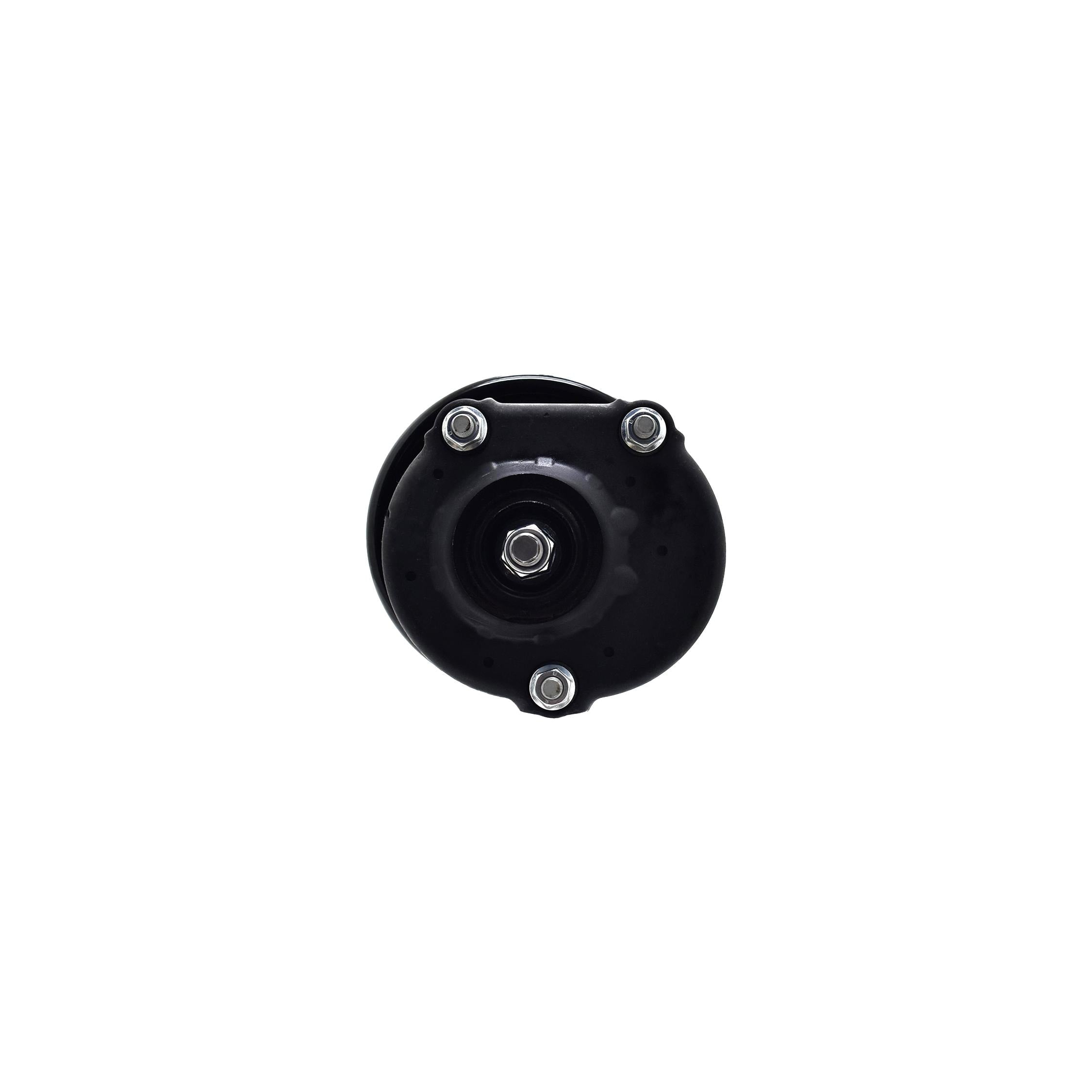 Suspension Strut and Coil Spring Assembly LS33-82161R