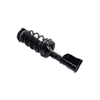 Suspension Strut and Coil Spring Assembly LS33-82161R