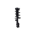 Suspension Strut and Coil Spring Assembly LS33-82171R