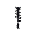 Suspension Strut and Coil Spring Assembly LS33-82181R