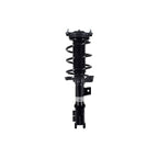 Suspension Strut and Coil Spring Assembly LS33-82181R