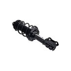 Suspension Strut and Coil Spring Assembly LS33-82181R