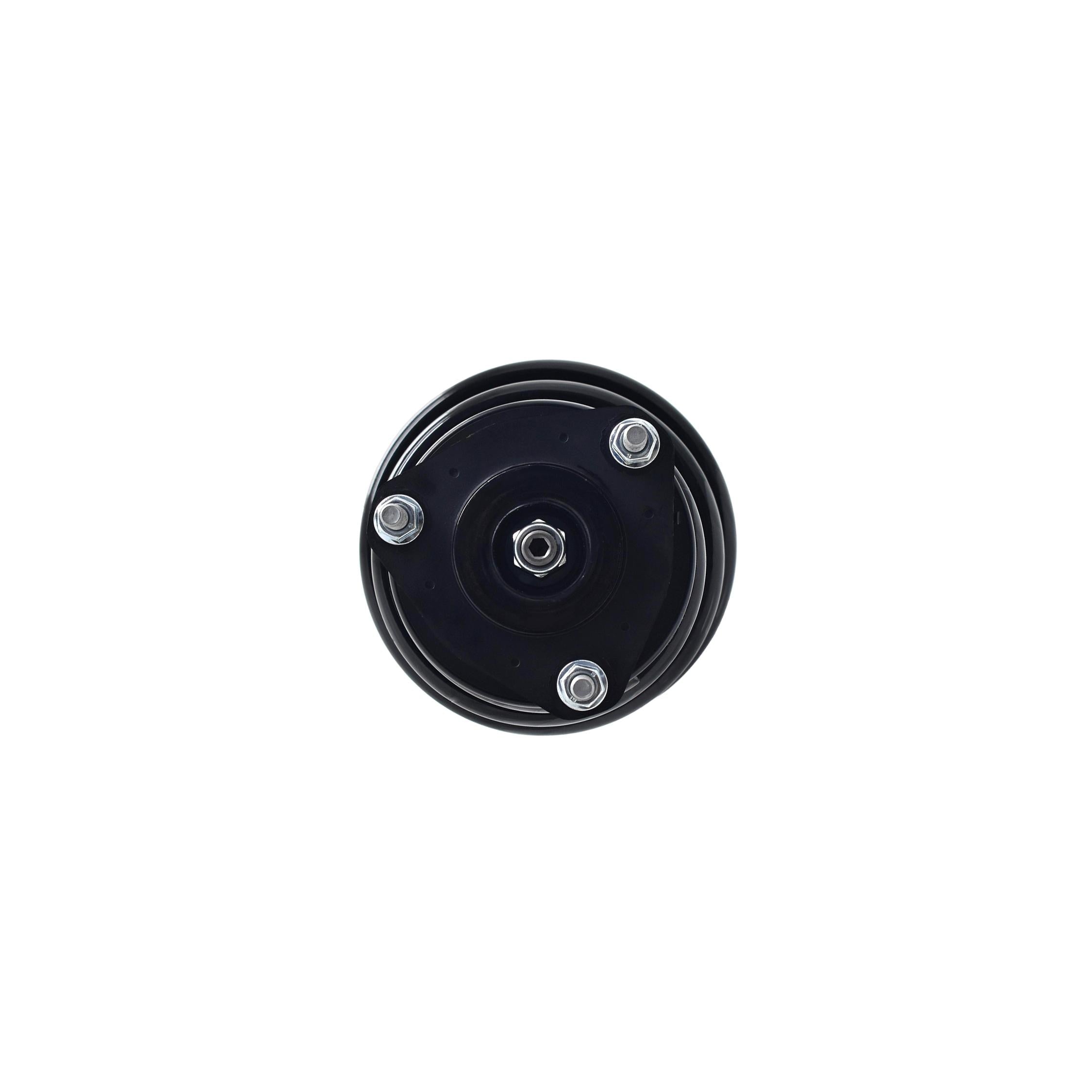 Suspension Strut and Coil Spring Assembly LS33-82221R