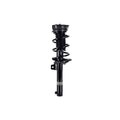 Suspension Strut and Coil Spring Assembly LS33-82231B