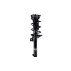 Suspension Strut and Coil Spring Assembly LS33-82231B
