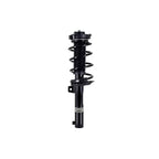 Suspension Strut and Coil Spring Assembly LS33-82241B