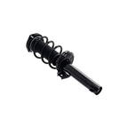 Suspension Strut and Coil Spring Assembly LS33-82241B