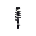 Suspension Strut and Coil Spring Assembly LS33-82261R