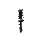 Suspension Strut and Coil Spring Assembly LS33-82331L