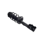 Suspension Strut and Coil Spring Assembly LS33-82331L