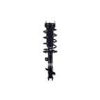 Suspension Strut and Coil Spring Assembly LS33-82331R