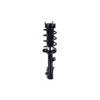 Suspension Strut and Coil Spring Assembly LS33-82331R