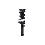 Suspension Strut and Coil Spring Assembly LS33-82341B