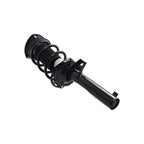 Suspension Strut and Coil Spring Assembly LS33-82341B