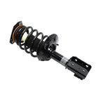 Suspension Strut and Coil Spring Assembly LS34-84001B