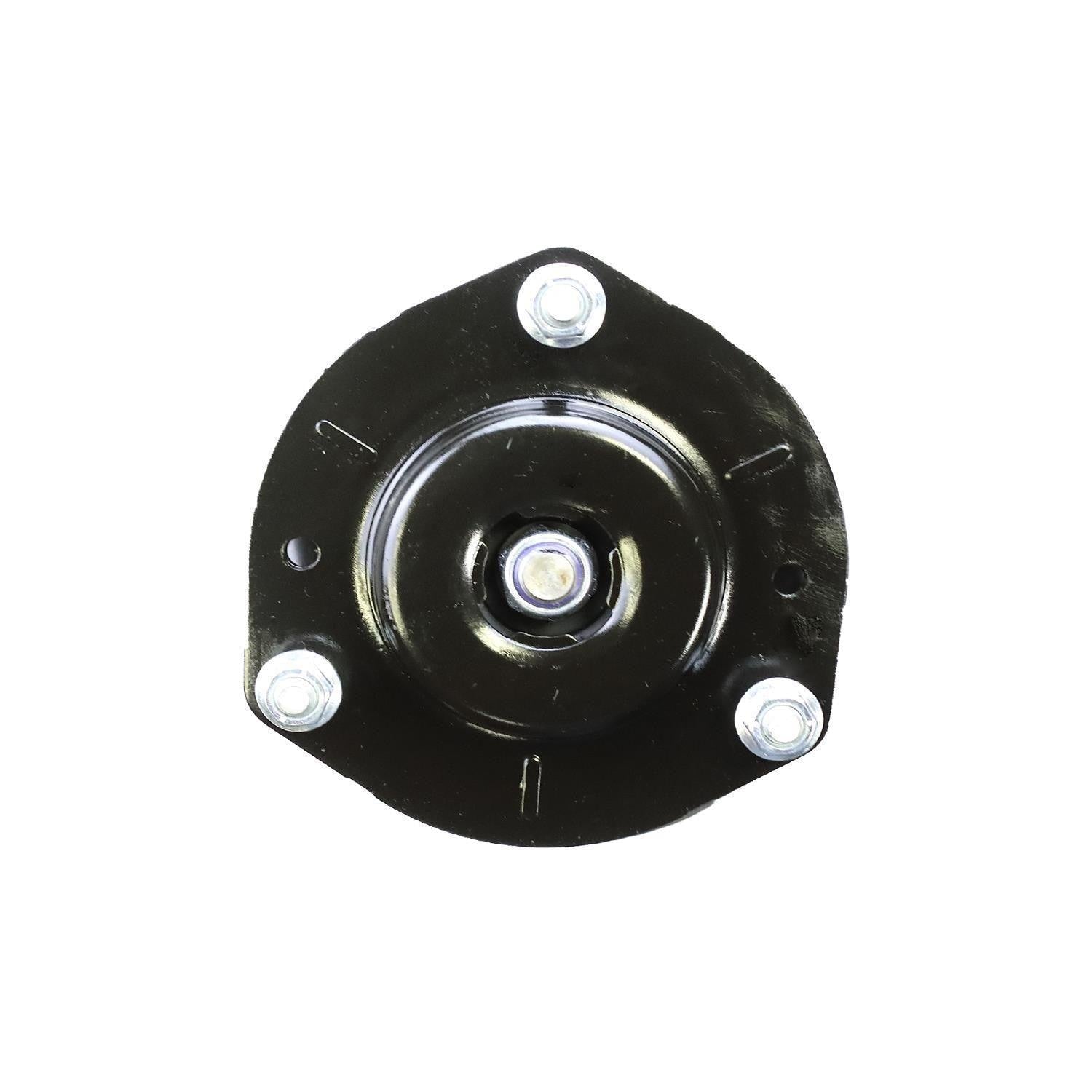 Suspension Strut and Coil Spring Assembly LS34-84021R