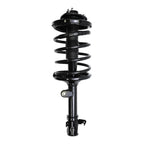 Suspension Strut and Coil Spring Assembly LS34-84071L