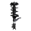 Suspension Strut and Coil Spring Assembly LS34-84161L
