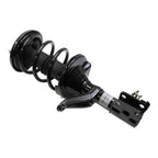 Suspension Strut and Coil Spring Assembly LS34-84161R