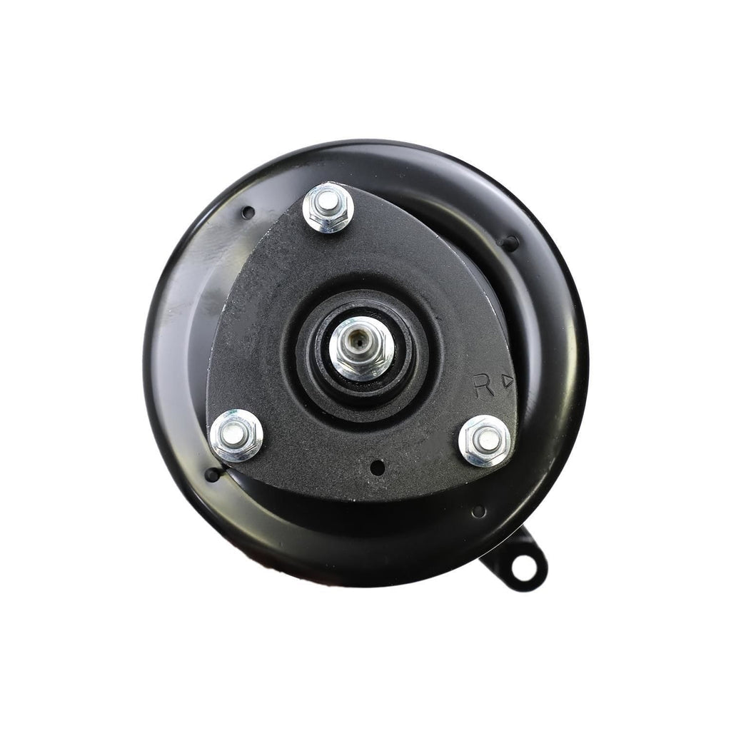 Suspension Strut and Coil Spring Assembly LS34-84161R