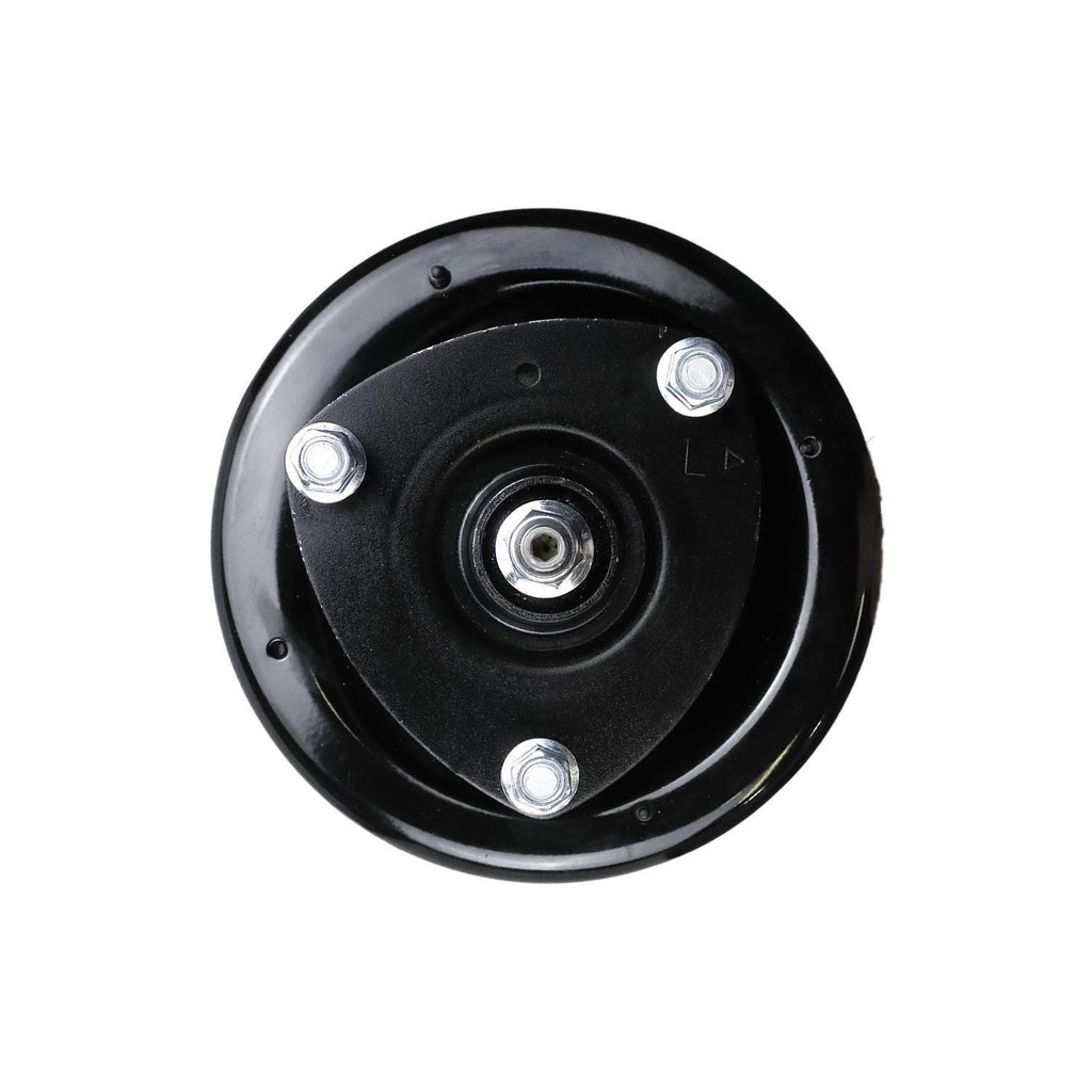 Suspension Strut and Coil Spring Assembly LS34-84171L