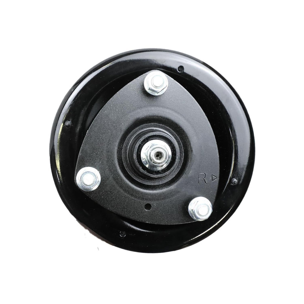 Suspension Strut and Coil Spring Assembly LS34-84171R