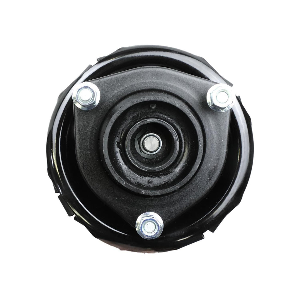 Suspension Strut and Coil Spring Assembly LS34-84181L