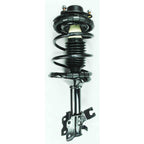 Suspension Strut and Coil Spring Assembly LS34-84181R