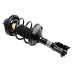 Suspension Strut and Coil Spring Assembly LS34-84181R
