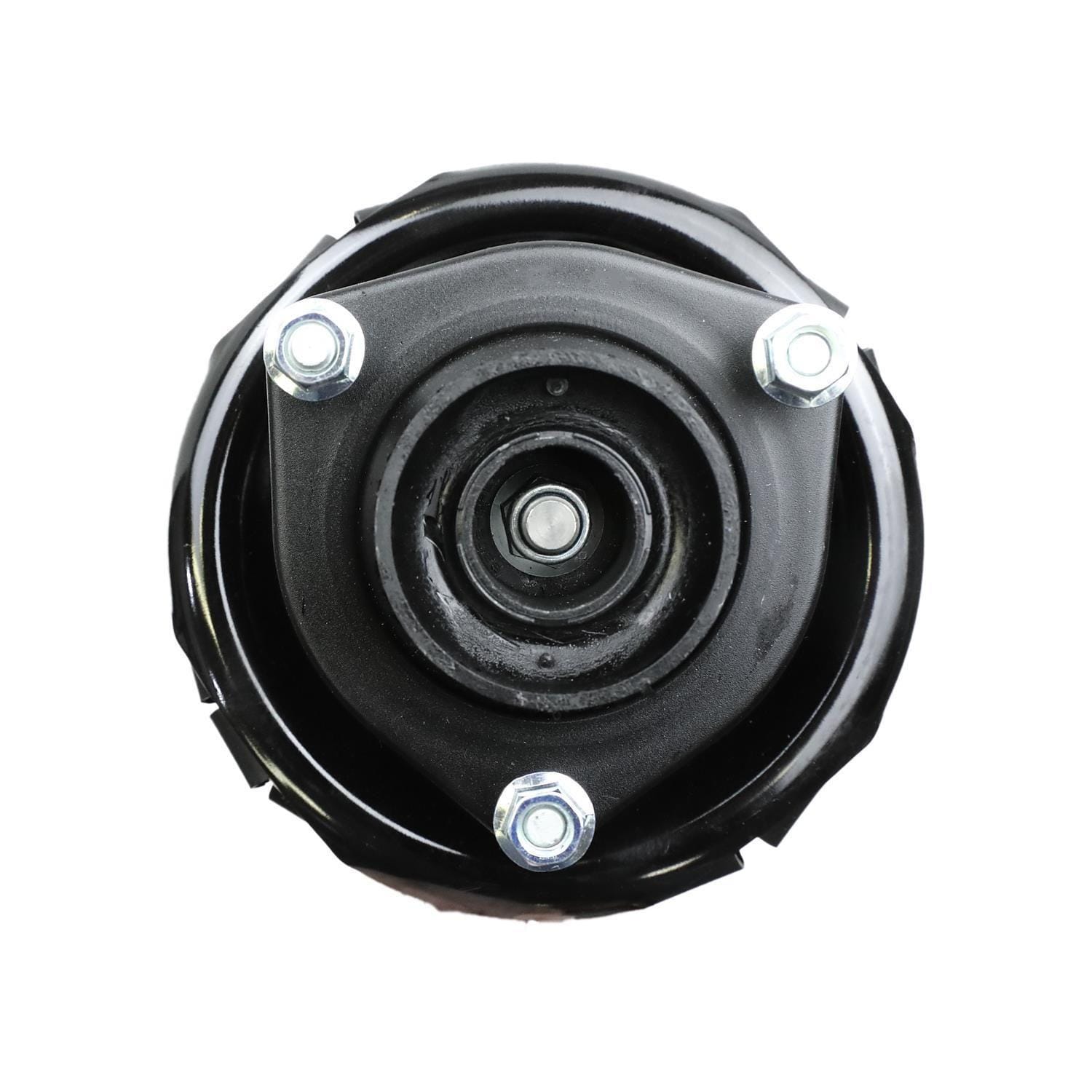 Suspension Strut and Coil Spring Assembly LS34-84181R