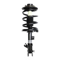 Suspension Strut and Coil Spring Assembly LS34-84191L