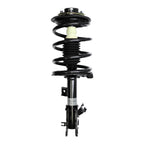 Suspension Strut and Coil Spring Assembly LS34-84191R