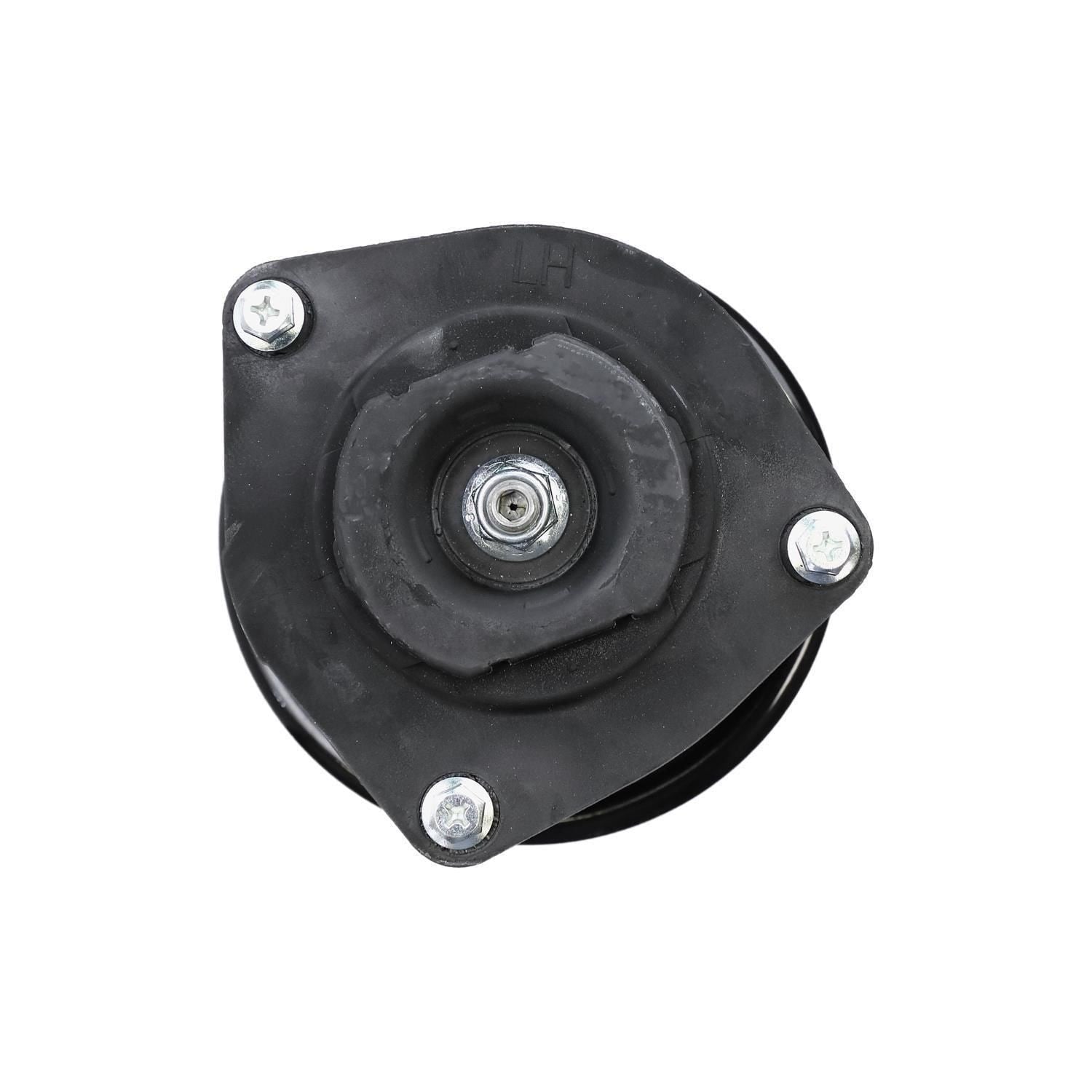 Suspension Strut and Coil Spring Assembly LS34-84201L