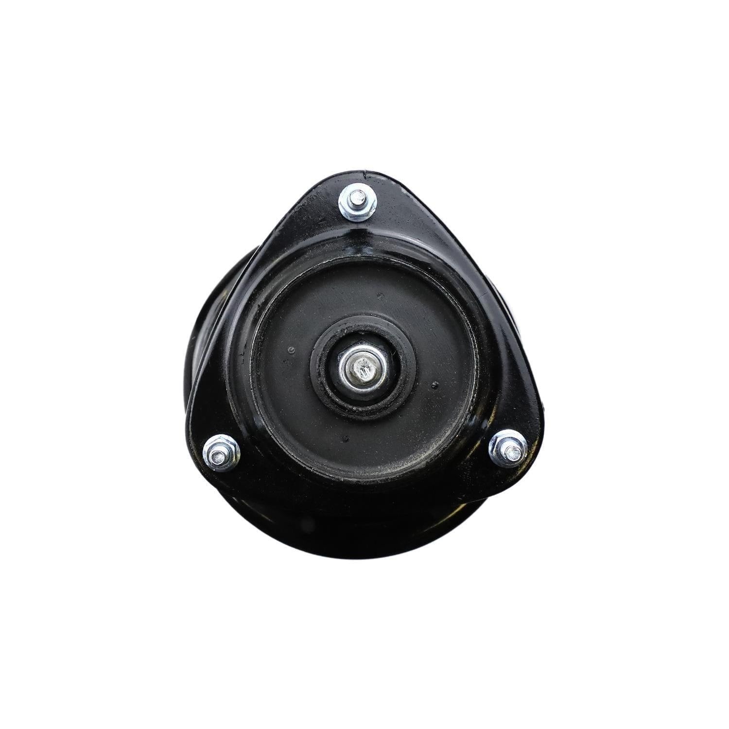 Suspension Strut and Coil Spring Assembly LS34-84231L