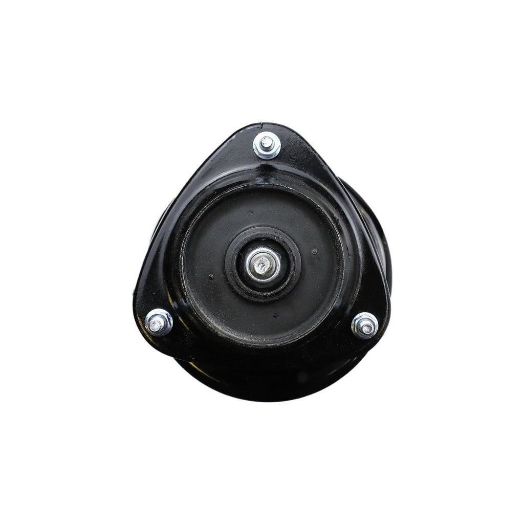 Suspension Strut and Coil Spring Assembly LS34-84231R