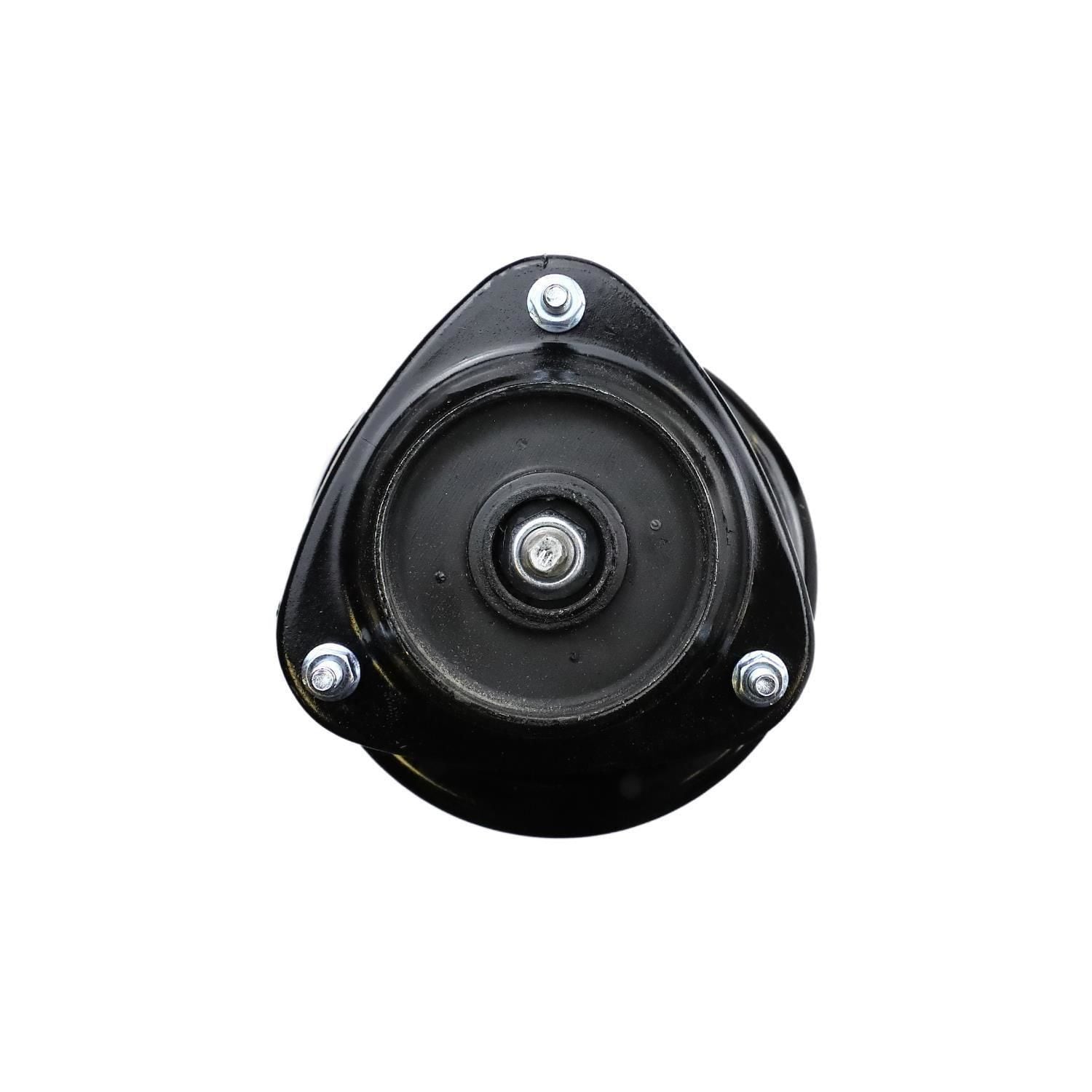 Suspension Strut and Coil Spring Assembly LS34-84231R