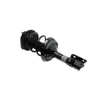 Suspension Strut and Coil Spring Assembly LS34-84311L