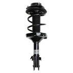 Suspension Strut and Coil Spring Assembly LS34-84311R