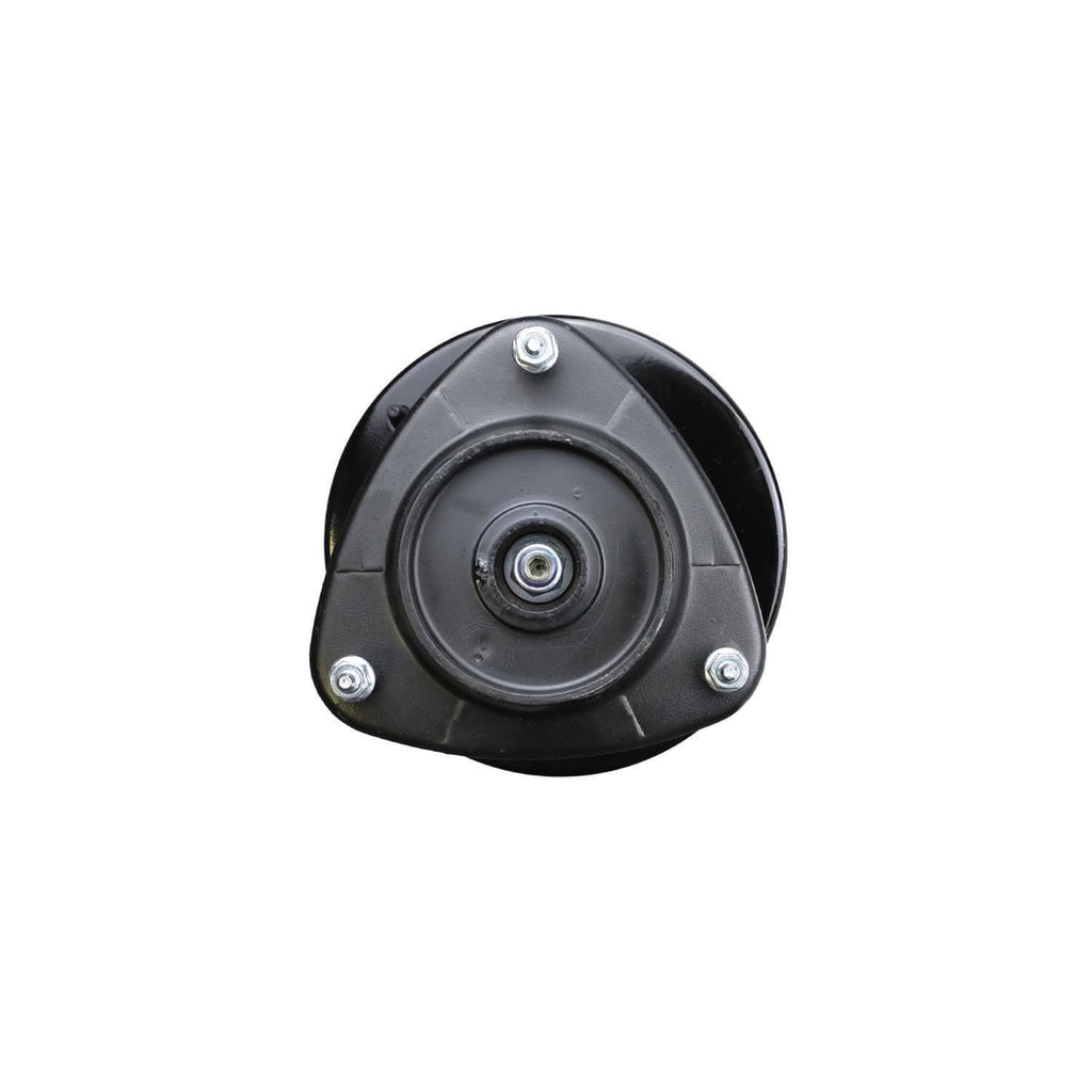 Suspension Strut and Coil Spring Assembly LS34-84311R