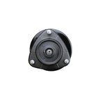 Suspension Strut and Coil Spring Assembly LS34-84311R
