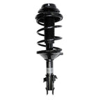Suspension Strut and Coil Spring Assembly LS34-84321L