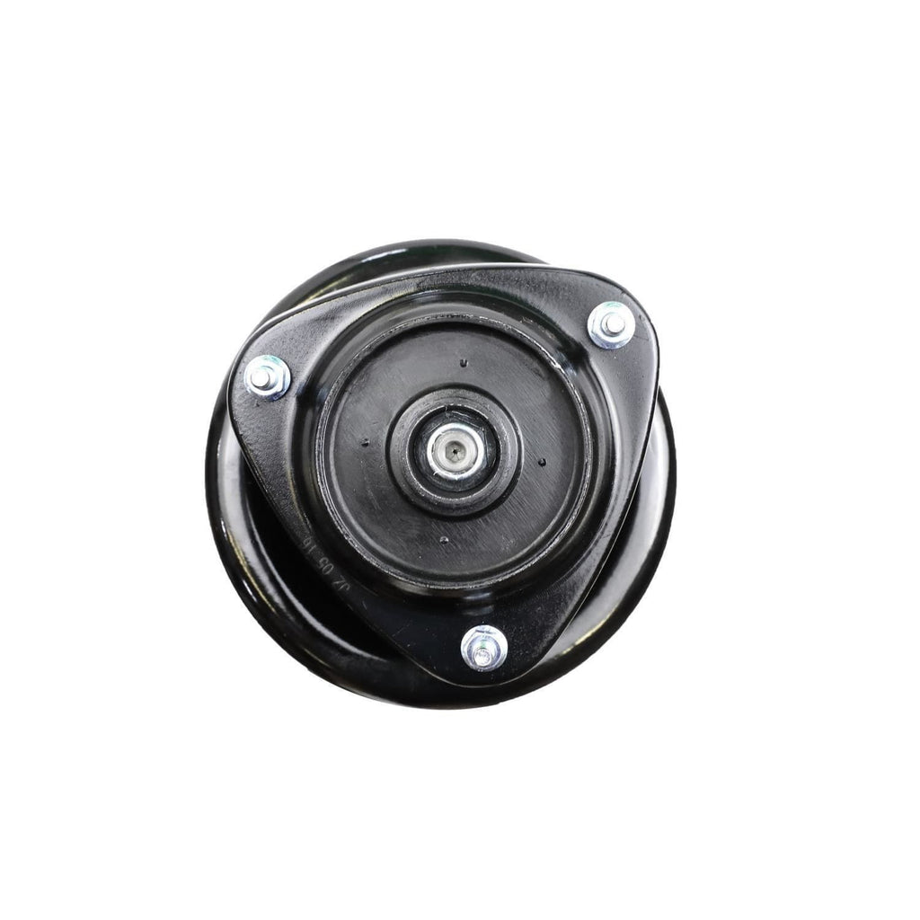 Suspension Strut and Coil Spring Assembly LS34-84331L