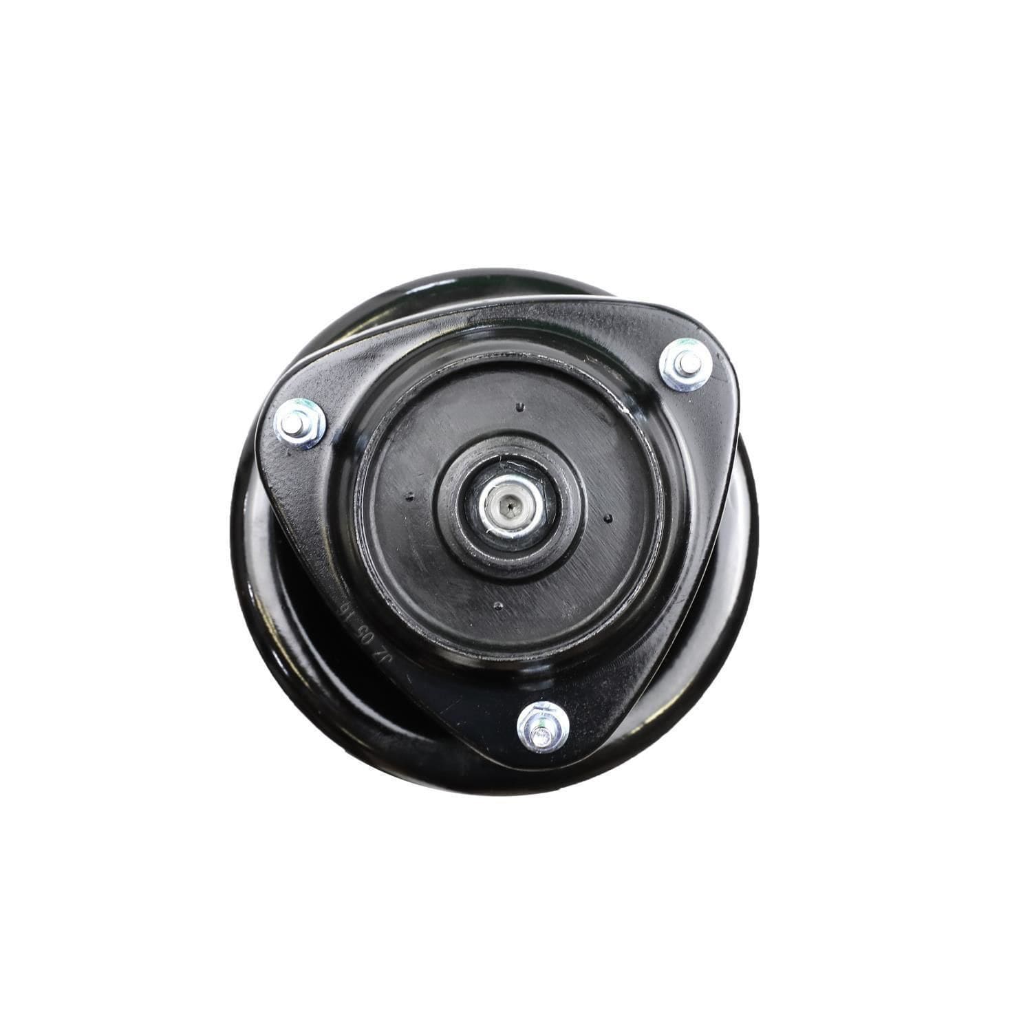 Suspension Strut and Coil Spring Assembly LS34-84331L