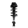 Suspension Strut and Coil Spring Assembly LS34-84331R