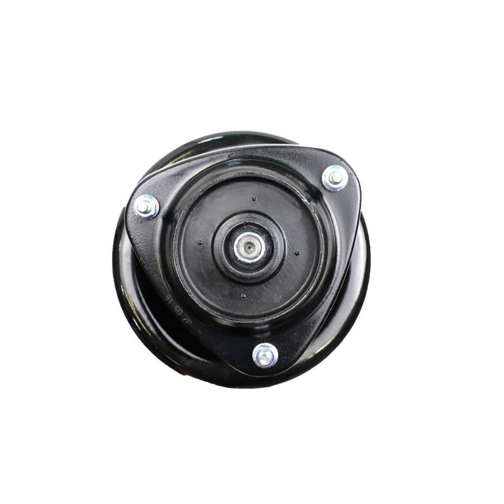 Suspension Strut and Coil Spring Assembly LS34-84331R
